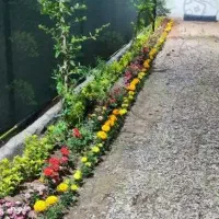 خدمات باغبانی و سم پاچی|خدمات باغبانی و درختکاری|قم, هفت تیر|دیوار