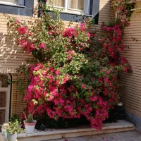 سوییت دو خوابه فواد|اجارهٔ کوتاهمدت آپارتمان و سوئیت|کاشان, فاز ۲ ناجی آباد|دیوار