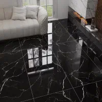 جذب نیرونی سرامیک کار برای عراق