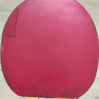 رویه دیگنیکس|ورزش‌های توپی|شیراز, سیلو|دیوار