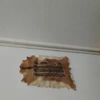 پوست اهو است قیمت 4000000تومان است