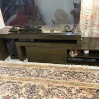 زیرتلویزیونی