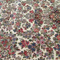 قالی دست بافت راوری|فرش|کرمان, |دیوار