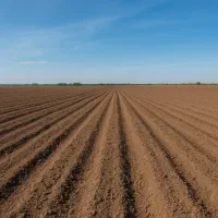 فروش زمین کشاورزی ۱۰۰هکتاری