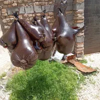 هیزه|خوردنی و آشامیدنی|اسلام‌‌آباد غرب, |دیوار