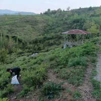 500متر زمین باغی و کلبه جنگلی|فروش زمین و ملک کلنگی|اطاقور, |دیوار