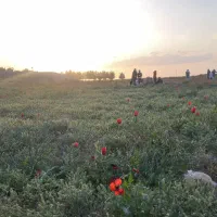 زمین-آماده-ساخت