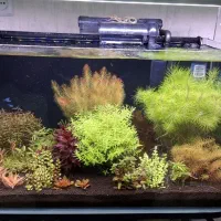 فروش آکواریوم پلنت