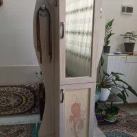 جاکفشی سالم