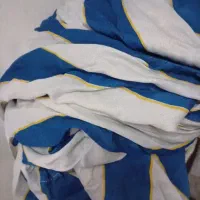 گلدان|گل و گیاه طبیعی|رشت, سلیمانداراب|دیوار