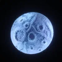 اجرای دکوراسیون داخلی|خدمات پیشه و مهارت|زابل, |دیوار