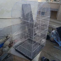 جفت لوتینو .قفس.کبوتر.لونه پرنده