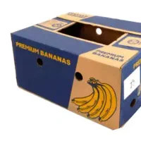 فروش کارتن موز