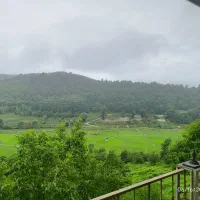 سوپر سایلنت/ویو ابدی جنگل بدون مشرف