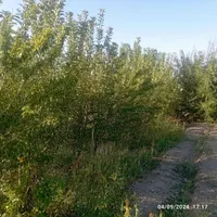 زمین مناسب باغچه