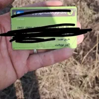 مدارک بنام اکبر نوبخت گم شده است