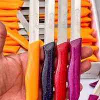 کارد اره ای آلمانی اصل|ظروف پخت‌وپز|کامیاران, |دیوار