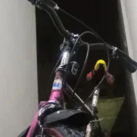 دوچرخه 20|دوچرخه، اسکیت، اسکوتر|تهران, وحیدیه|دیوار