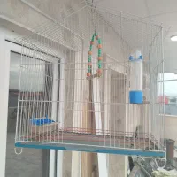 قفس پرنده