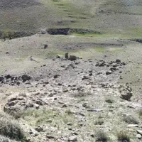 زمین-مسکونی
