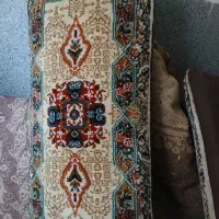 دو جفت پشتی کرم یا گردویی