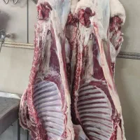 قصاب و سلاخ|خدمات پذیرایی، مراسم|بروجرد, |دیوار