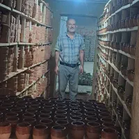 تولیدی جا سبزه