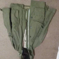 پالتو تاناکورایی