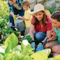 هیومیک گرانول کود|عمده‌فروشی|دزفول, |دیوار