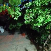 اجاره روزانه/هفتگی/ماهانه آپارتمان ۵۰ متری