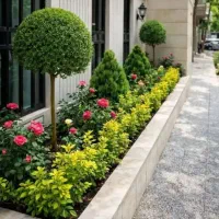 خدمات باغبانی باغچه کاری هرس کاری کاشت گل وگیا