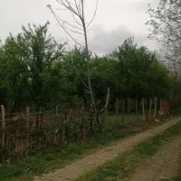 فروش-زمین-باغچه