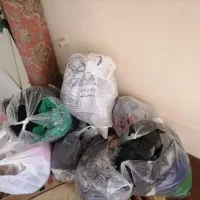 چندتا کیسه|ظروف نگهدارنده، پلاستیکی، یک‌بارمصرف|شیراز, اصلاح‌نژاد|دیوار