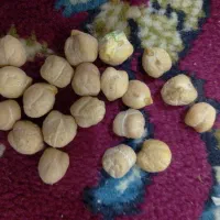 فروش نوخود سفید درجه یک