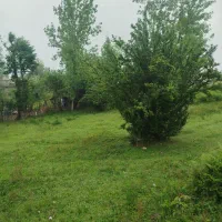 زمین-مسکونی-2500-متری-شفت-با-ویلای-رایگان
