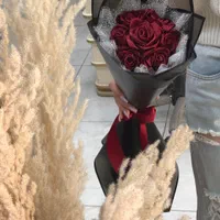 گل جاودان روبانی|گل و گیاه طبیعی|تهران, خزانه|دیوار