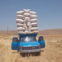 کاه سالم وتمیز.ارسال ب آ.غربی و شرقی