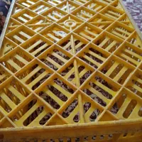 سبد یک عدد