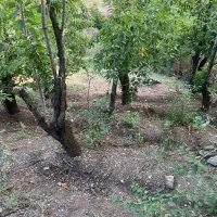 زمین در فشم اهار|فروش زمین و ملک کلنگی|تهران, نارمک جنوبی|دیوار