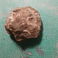 سنگ قیمتی|کلکسیون اشیاء عتیقه|گل تپه, |دیوار