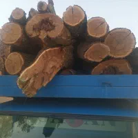 چوب بادام شومینه ای|خدمات باغبانی و درختکاری|تفرش, |دیوار