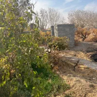 ۲۰۵متر باغ درختی کد ۳۲۳