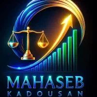 خدمات مالی و مالیاتی