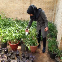 خدمات باغبانی و گل و گیاه کارشناس گیاه پزشکی