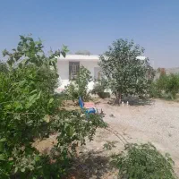 خونه باغ استیجاری