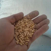 پس دان پلت یاپلیت مرغ گوشتی