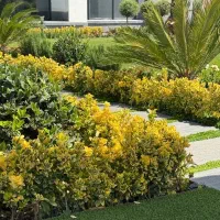 سرایدار ویلا