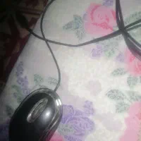mouse|قطعات و لوازم جانبی رایانه|قدس, شهر‌قدس|دیوار