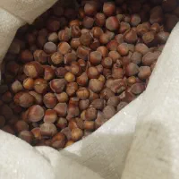 فندق درشت|خوردنی و آشامیدنی|تهران, نیاوران|دیوار