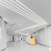 طراحی و تولید تخصصی انواع لاین نوری(لاینر)